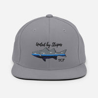 'United by Stripes' Snapback Hat