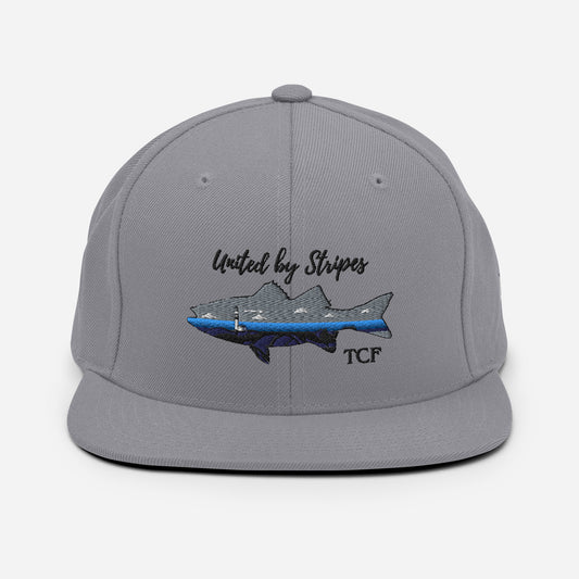 'United by Stripes' Snapback Hat